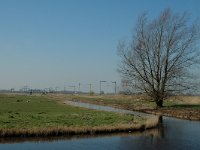 NL, Noord-Holland, Oostzaan, Polder Oostzaan 9, Saxifraga-Marijke Verhagen